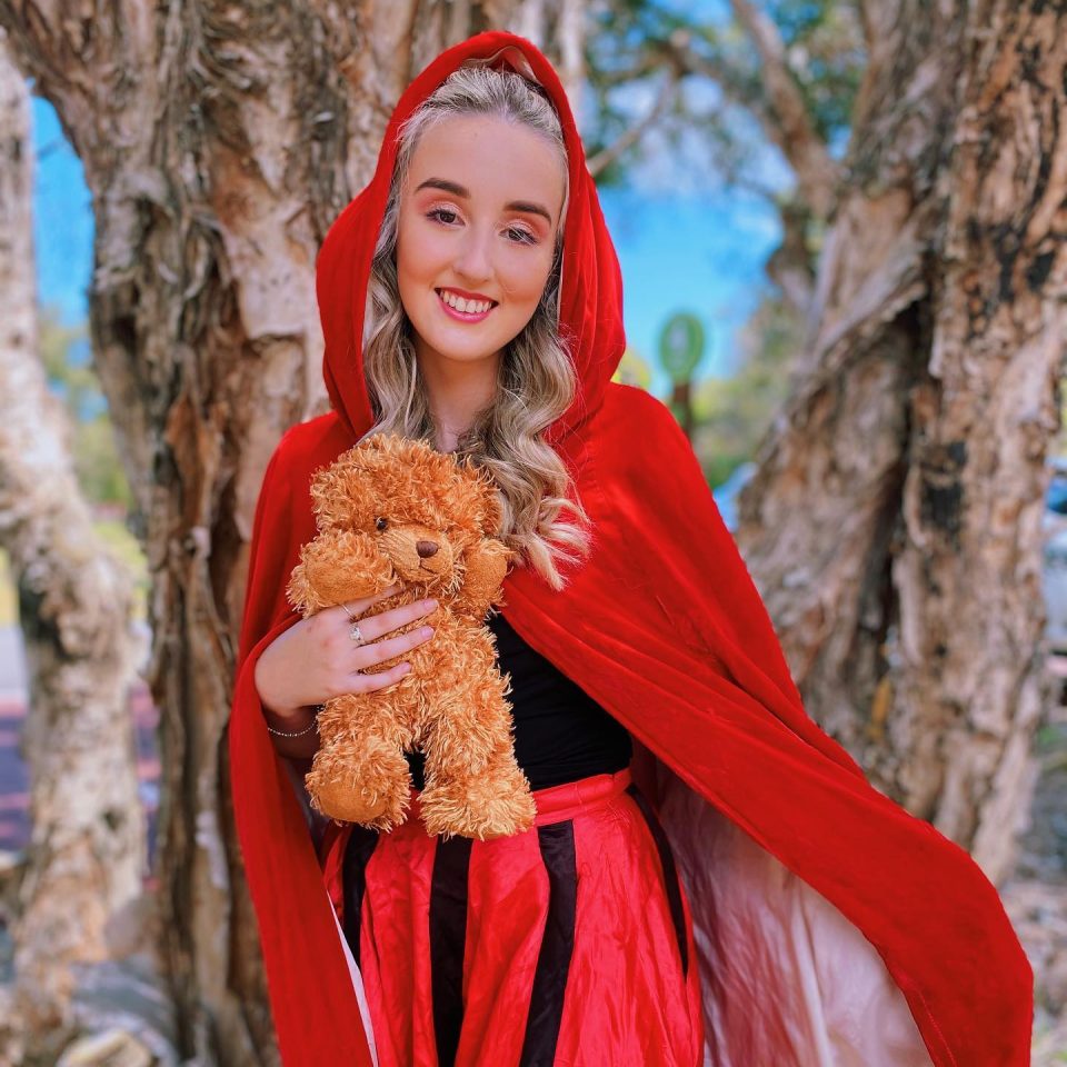 Red Riding Hood Teddy Picnic